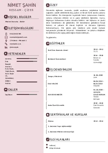 Ressam Cv Örnekleri cv indir